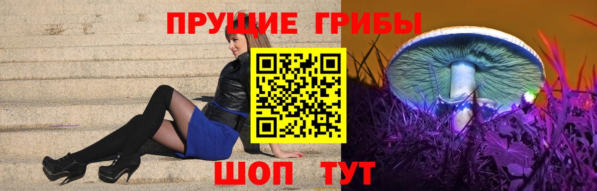 Галлюциногенные грибы Psilocybine cubensis Сосновоборск