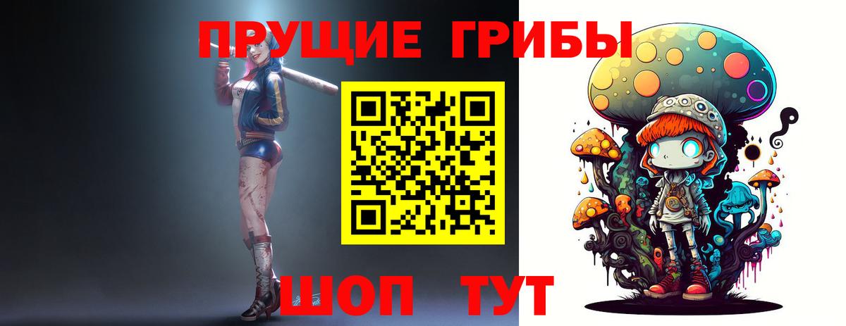 Галлюциногенные грибы Psilocybine cubensis  Галлюциногенные грибы MAGIC MUSHROOMS  Сосновоборск  Вход с VPN 